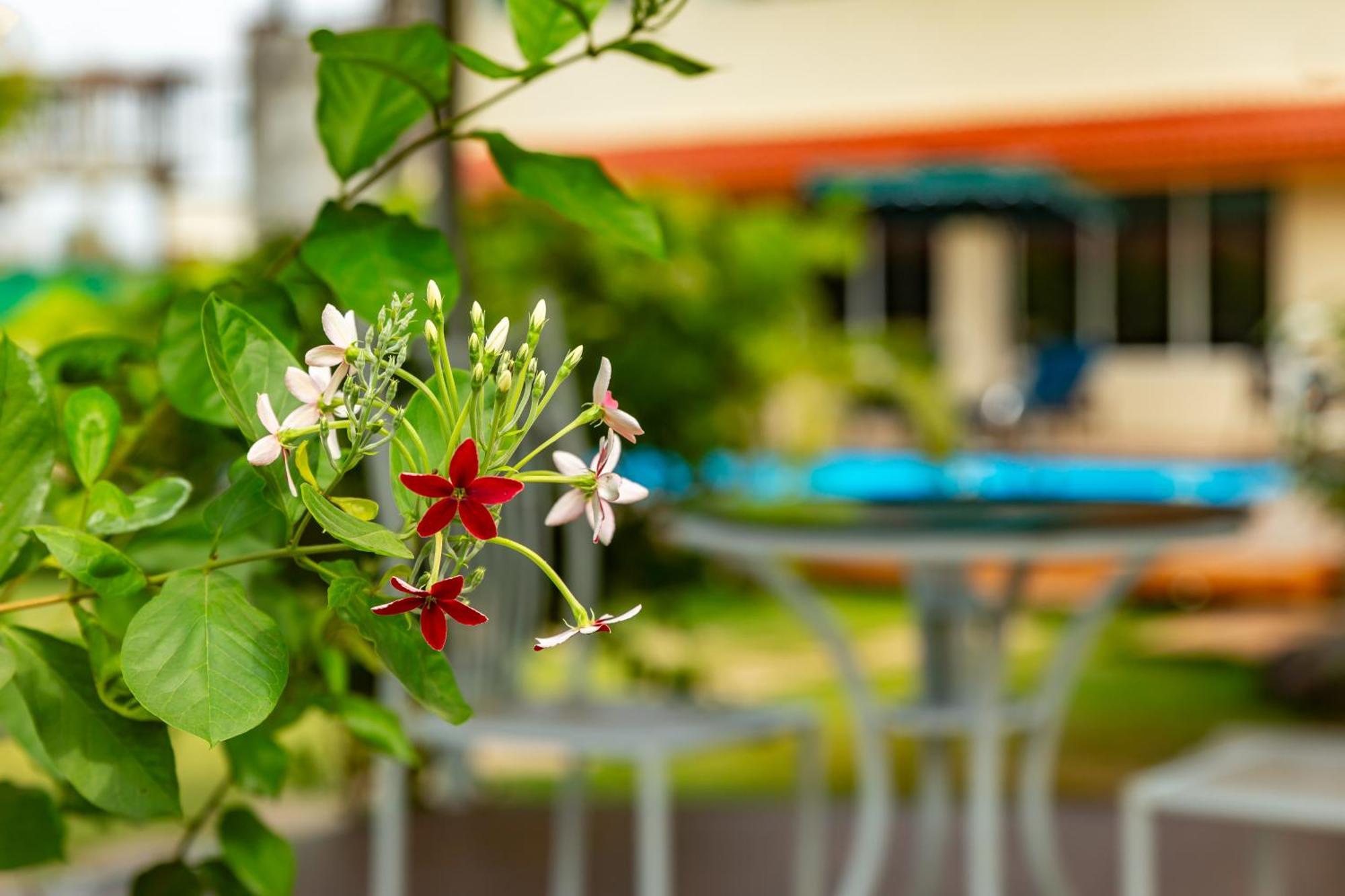 Casa Amora Lonavala Εξωτερικό φωτογραφία